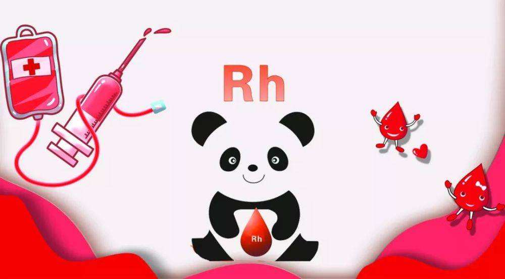 熊猫血,rh血型