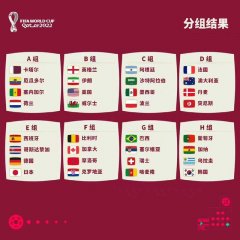 2022卡塔尔足球世界杯分组结果已有结果