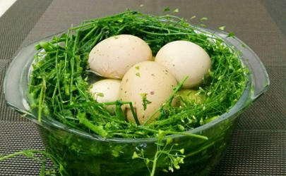 农历三月三煮鸡蛋要多久？