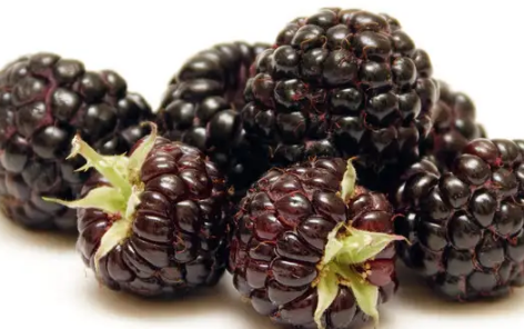 黑树莓是什么水果