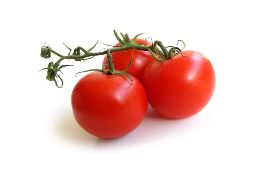 西红柿怎么保存合适