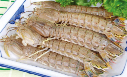 皮皮虾在淡水养可以养活吗