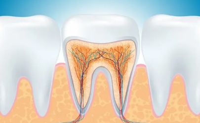 牙龈空了牙结石怎么补救？