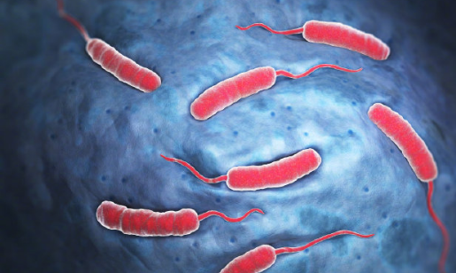 根据临床表现，霍乱的病程大致可分为及个阶段