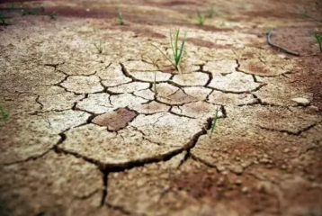 为什么2022年会有很多干旱地区？